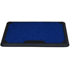 Corona Disinfect Outdoor Mat with Removable Carpet