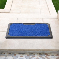 Corona Disinfect Outdoor Mat with Removable Carpet